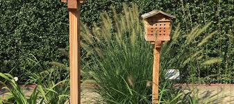 Jetzt Insekten Im Garten Unterstutzen Insektenhotel Garten Insekten