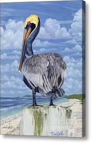 The Pelican Perch Canvas Print Canvas Art By Danielle Perry Pelican Art Bird Art Canvas Art