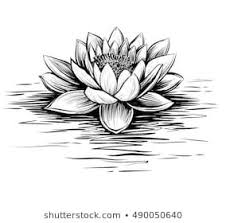 Black And White Water Lily Flower Tattoo Vector Waterlily Water Waves Lotus Illustration Stock Vector Royalty Free 490050640 In 2020 Water Lily Tattoos Lotus Tattoo Design Flower Tattoo