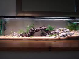 Lara S 12 Gallon Long Tango Aquascaping Biotope Aquarium Aquascape Aquascape Aquarium