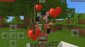 A villager can be turned into a zombie villager if it is killed by a trident thrown by a drowned. How To Make A Friendly Zombie Pigman In Minecraft Pocket Edition Tame Pigman Addon Youtube