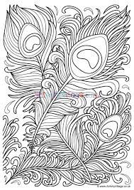 Check spelling or type a new query. Peacock Feathers Colouring Page
