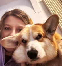 Corgis are life! 😂