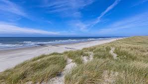 Strandhäuser (strandvillen) am strand bei landalpark beach villas. Unsere Top 10 Die Schonsten Strande In Holland Fti Reiseblog