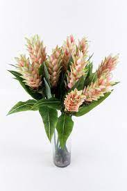 Ginger Flower White Pink Ginger Flower Fresh Flowers Arrangements Turquoise Wedding Flowers