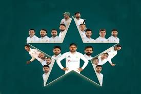 England announces t20i squad for pakistan series sports 'misbah, waqar, leave us alone': Pak Vs Eng Series 2021 Squad Montor Nublek