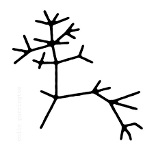 Darwin S Tree Of Life Evolution Tattoo Tree Of Life Tattoo Darwin Tree Of Life