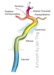 Pin On Radiography