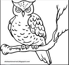Cara menggambar burung hantu wikihow. Lukisan Pensil Burung Hantu Cikimm Com
