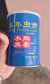Crowntail bettas originate from the betta species, also known as siamese fighting fish. Baby Brine Shrimp Bbs Betta Fries Pet Supplies For Fish Fish Food On Carousell