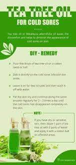 Uses For Tea Tree Oil In Your Home So Many Great Ones In Here That Will Definitely Have You Wanting To Keep Thi Tea Tree Oil Essential Oils For Colds Tea