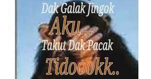 Gambar Kata Lucu Wong Palembang Dp Bbm Lucu Untuk Hari Ini