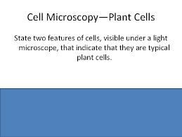 Check spelling or type a new query. Experiment Questions Cell Microscopy Plant And Animal Cell