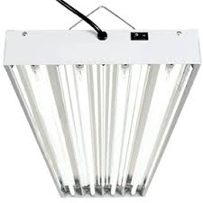 Best T5 Grow Lights You Should Know About T5 Light Review Guide For Cannabis