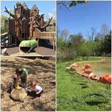 Top 10 Things To Do In Nashville With Kids In 2020 Nashville Trip Tennessee Vacation Vacation Trips