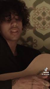 MICRO tdh the DOGS house