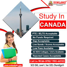 If You Looking For Canada Study Visa Click Here Becoz You Ll Golden Chance In 2020 Immigration Visa Canada Canada