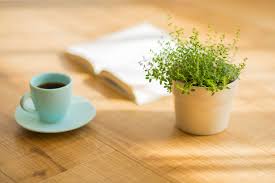 Clearly using coffee grounds to help your plants grow is tricky business, and it's certainly no guarantee. Coffee Used On Plants How To Water Plants With Coffee