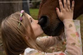 Shi Lessner Photography