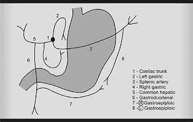 Image result for Succussion Splash