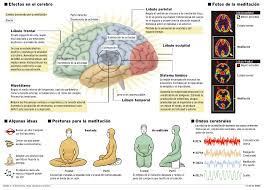 Resultado de imagen para cerebro esa máquina maravillosa creada por Dios