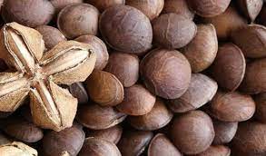 Maybe you would like to learn more about one of these? 15 Jenis Kacang Kacangan Di Dunia Apa Aja Ya Nutify