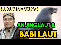 We did not find results for: Hukum Memakan Anjing Laut Babi Laut Dan Sejenisnya Imammahdi Dukhon2020 Kiamat Youtube