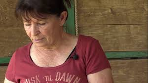 the lynn mckenzie pad