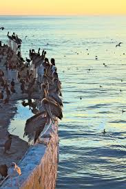 Where is the palo alto daily post printed? Hd Wallpaper United States Aptos S S Palo Alto Water Sea Horizon Over Water Wallpaper Flare