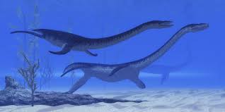 Image result for Plesiosaurus