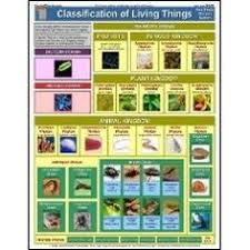 33 Best Classification Of Living Things Images Teaching
