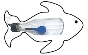how fish sink and float stem activity
