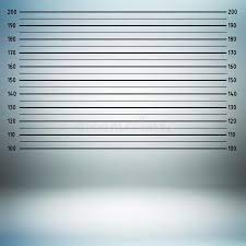 Police Lineup Or Mugshot Background Police Line Up Or Mug Shot Background Ad Mugshot Lineup Police Backgrou Mugshot Background Mug Shots Background
