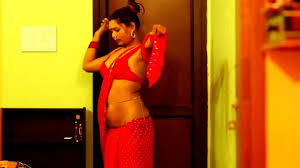Pinki tiwari saree
