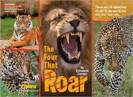 The director of big cat rescue carole baskin is a strong advocate against private and show ownership of big cats. The Four That Roar National Geographic Society