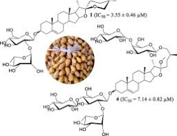 Image result for Ptycholobium contortum