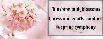 We did not find results for: Download Famous Haiku Poems 5 7 5 Background Good Poems For Someone