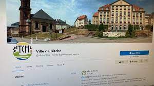 Il programma consente di avviare la ricerca di file torrent semplicemente digitando la. Nw7 Ga3gtjpbim