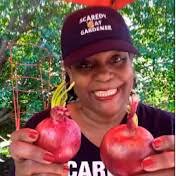 Cooking At Pam's Place