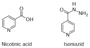 This character is a other symbol and is commonly used, that is, in no specific script. Biological Evaluation Of Isoniazid Derivatives As An Anticancer Class Abstract Europe Pmc
