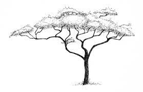 Find the perfect acacia tree stock illustrations from getty images. Acacia Tree Coloring Pages