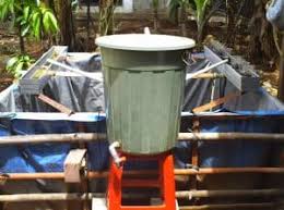 10 Cara Budidaya Ikan Dengan Sistem Resirkulasi Bagi Pemula Arenahewan Com