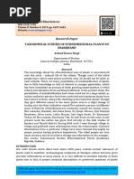 Image result for Conostomium gazense