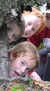 Mit Mountain Wolf die Welt der Huskys entdecken