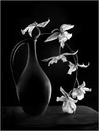Black And White Still Life Photography Mikaelsplayground Black Vase White Photography Flower Arrangements