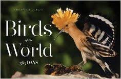 And with its scalloped edge, arrow feet, and weathered details, this table is perfect for a little french country style in any space. 51 Coffee Table Books Ideas Books Coffee Table Books Bird Book