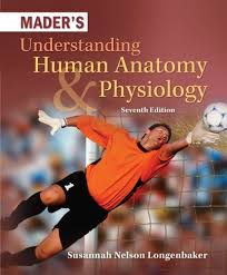 Pin On Anatomy