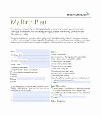 Customizable Birth Plan Template Free Editable Printable Birthing Plan Template Best Of 47 Printable Birth Plan Templates Birth Plan Checklist In 2020 Birth Plan Template How To Plan Business Plan Template Word