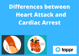 Learn the difference between a heart attack and cardiac arrest and how to perform cpr. Difference Between Heart Attack And Cardiac Arrest In Tabular Form