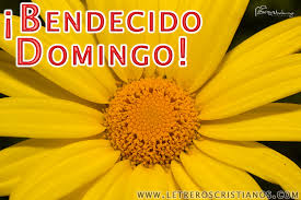 Las más bonitas imágenes postales con frases, fotos y gifs animados para desear un buenos días y feliz. Bendecido Domingo A Todos Letreros Cristianos Com Imagenes Cristianas Imagenes Para Facebook Frases Cristianas